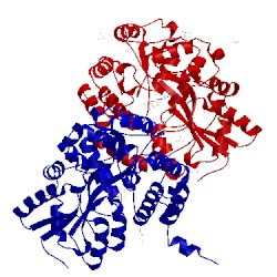 Image of CATH 3q29