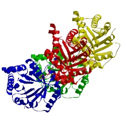 Image of CATH 3q37