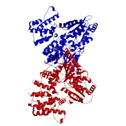 Image of CATH 3q3e