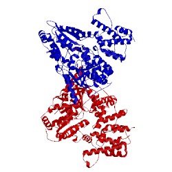 Image of CATH 3q3h
