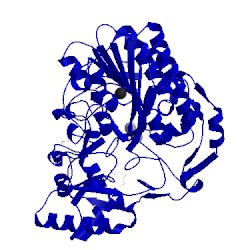 Image of CATH 3q3q