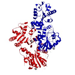 Image of CATH 3q3v