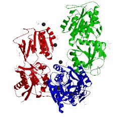 Image of CATH 3q41