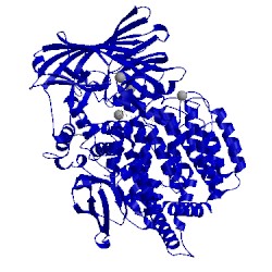 Image of CATH 3q43