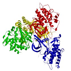 Image of CATH 3q4u