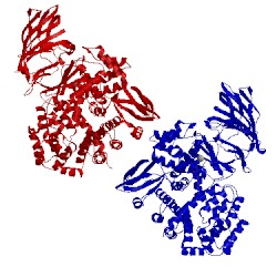 Image of CATH 3q7j