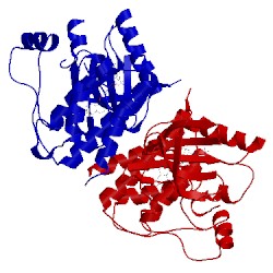 Image of CATH 3q96