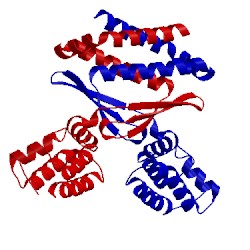 Image of CATH 3q9d