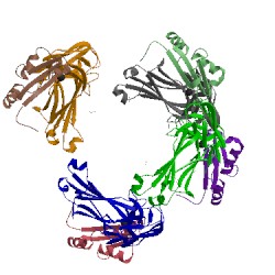 Image of CATH 3qa3