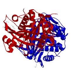 Image of CATH 3qai