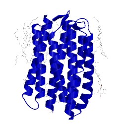 Image of CATH 3qap