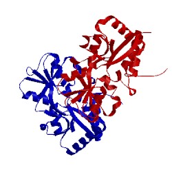 Image of CATH 3qax