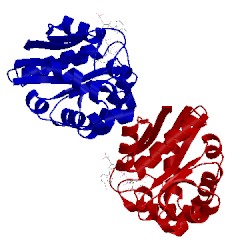 Image of CATH 3qb8