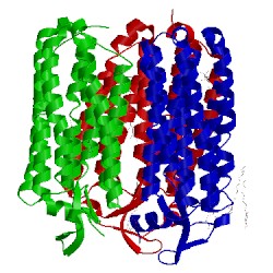 Image of CATH 3qbi