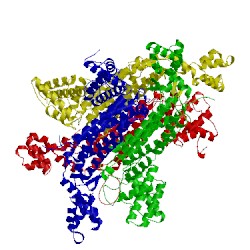 Image of CATH 3qbp