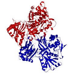 Image of CATH 3qfr