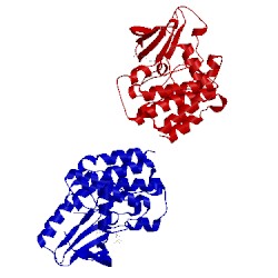 Image of CATH 3qgw