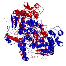 Image of CATH 3qh0