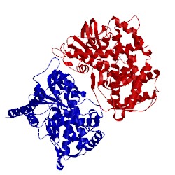 Image of CATH 3qi8
