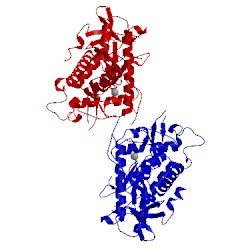 Image of CATH 3qix