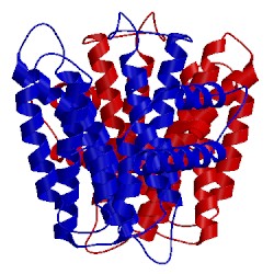 Image of CATH 3qkc