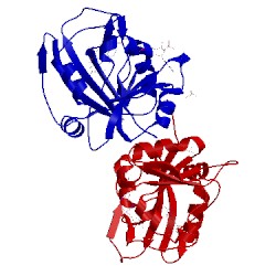 Image of CATH 3qlr