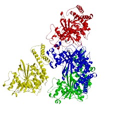 Image of CATH 3qof