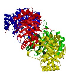 Image of CATH 3qpz