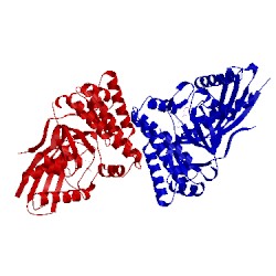 Image of CATH 3qt7