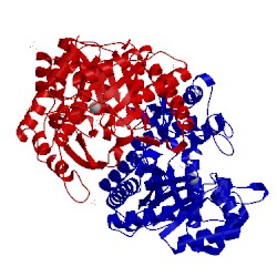 Image of CATH 3qtp