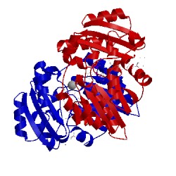 Image of CATH 3qtt