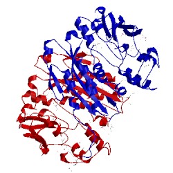 Image of CATH 3qty