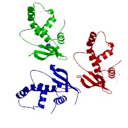 Image of CATH 3qu3