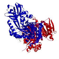 Image of CATH 3qv9