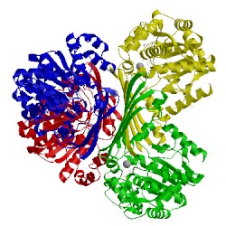 Image of CATH 3qw2