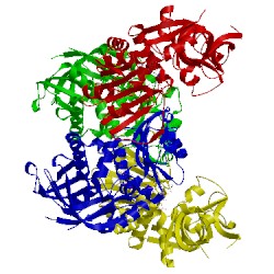 Image of CATH 3qwb