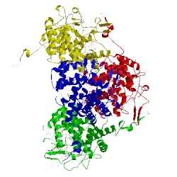 Image of CATH 3qwt