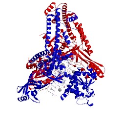 Image of CATH 3qx3