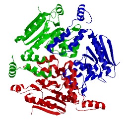 Image of CATH 3qxi