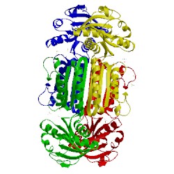 Image of CATH 3qy9