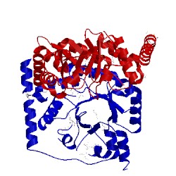 Image of CATH 3r13