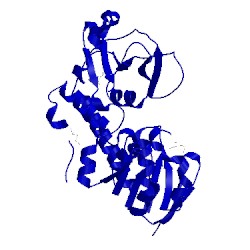 Image of CATH 3r5s
