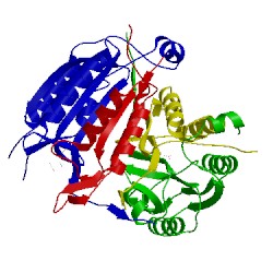 Image of CATH 3r6g