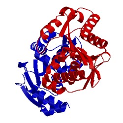 Image of CATH 3r8c