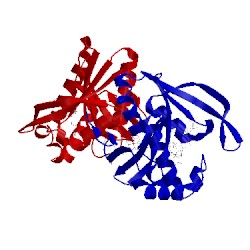 Image of CATH 3r9g