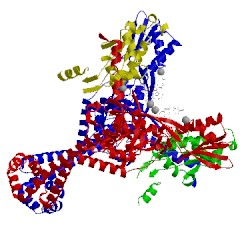 Image of CATH 3rae