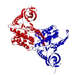 Image of CATH 3raw