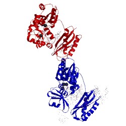 Image of CATH 3rbe