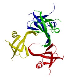 Image of CATH 3rd4