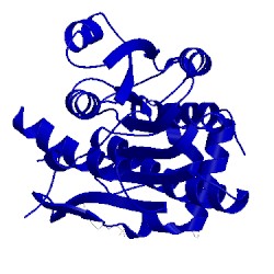 Image of CATH 3rd5